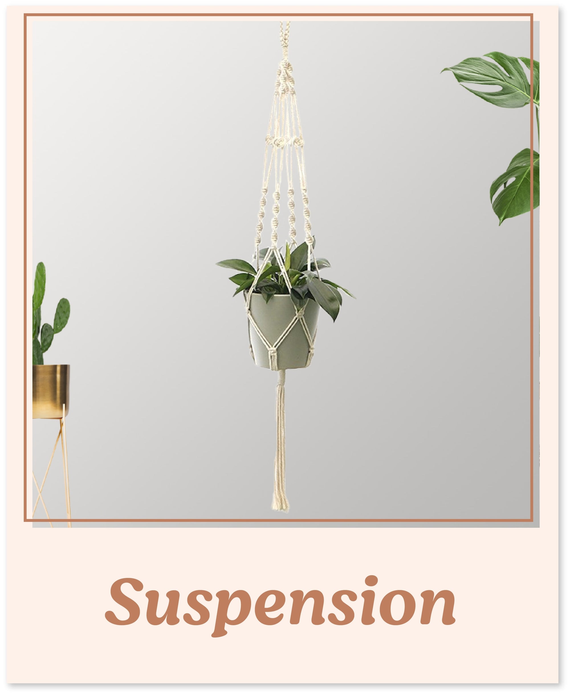 Suspension macramé plante