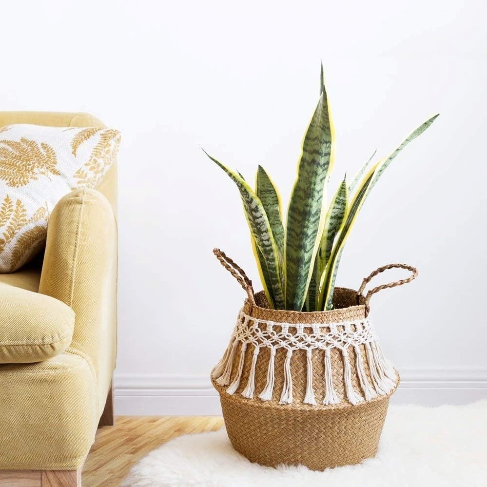 Panier osier macramé